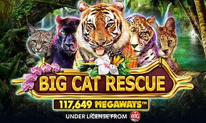 Imagem do jogo Big Cat Rescue Megaways no 3l bet